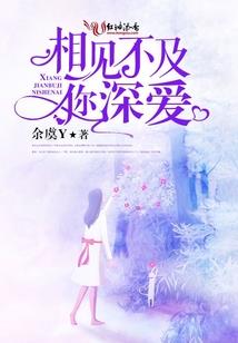 阳历农历太阳月亮