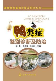属猴的2023年的运气
