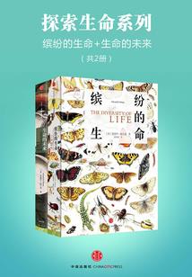 被压在塔下的生肖