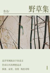 公司起名踩坑怎么起名