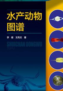 属龙的人很真诚