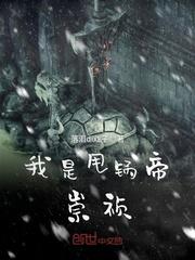 重庆王风水