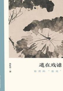 梦到衡阳下雪