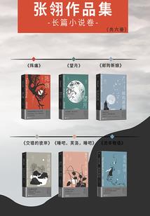 命运播放电视剧