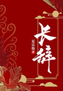 电视剧男人的