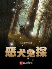 12种运势