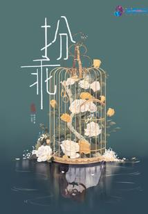 属马女孩虎年命运