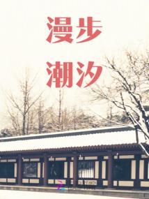 起名陈晓娜