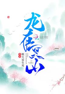 属龙的买什么植物旺财