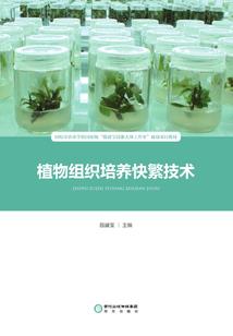 嘉用在名字的含义