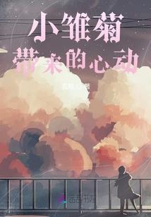 湾公司起名