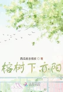 澳门版老黄历