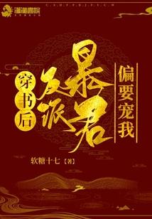 看风水用的阴阳枕头