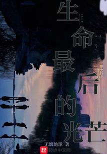 名字属相牛赵
