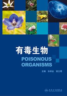 双双代表什么生肖