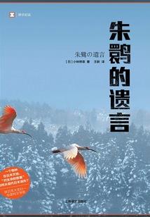 肖猴者2017年运特程