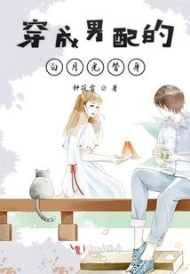 属鸡纹菊花好吗