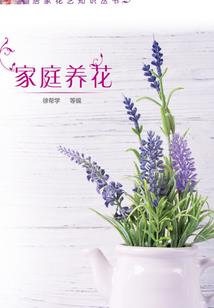 属龙名字带有偏旁