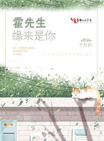 看生辰八字怎么收费的