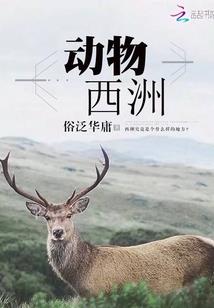 乌鲁木齐的地理风水位置