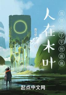娃娃机五行