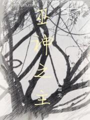 属羊家具风水
