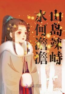 崔国文断卦风水全集