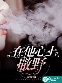 甲辰年属鸡运气