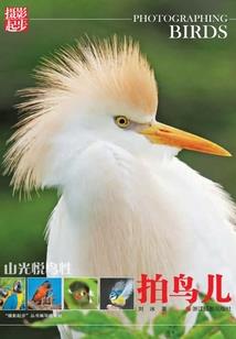 过生日是看阴历阳历