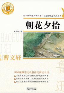 属猪和属马的人财运