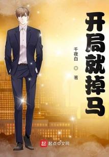集成产品的含义