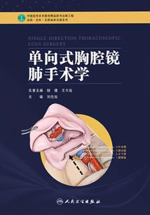狗年什么颜色旺属龙