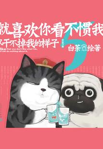 命运回响宿命节拍多少集