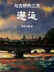 属猪2020运势详解