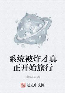 十二生肖风雨