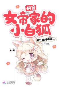 命运2寒冰箭