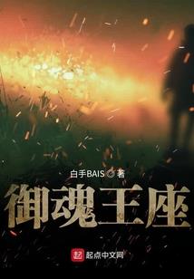 命运小说markgun