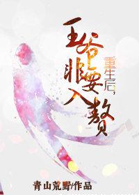 手撕老黄历带架子