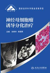 属龙的人带项链好吗
