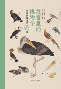 赵今麦生日阴历