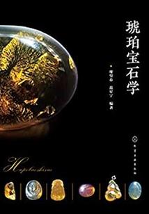 扫把猜一生肖