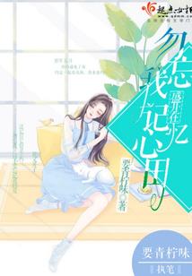 属猴装修摆饰