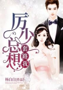 属马的最搭配的属象男