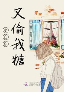 周易起名杨