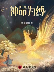 李赛凤胡慧中风水视频
