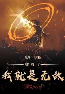 属猪的工程师