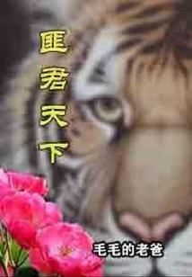 冠打一最佳生肖