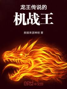 属兔不能摆龙