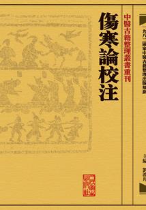 多肉盆栽寓意运气