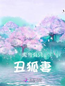 天秤今日紫微黄历网